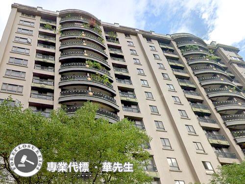 新北法拍大樓-9