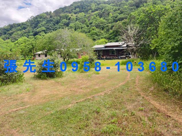 花蓮萬榮法拍透天-4