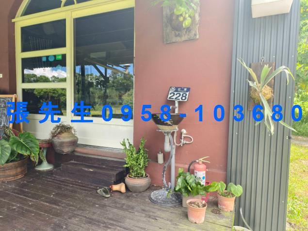 花蓮萬榮法拍透天-5