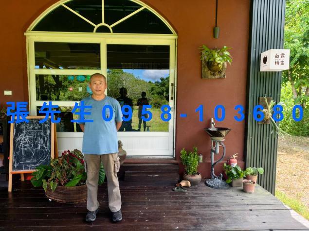 花蓮萬榮法拍透天-6