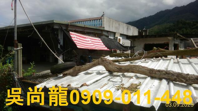 花蓮玉里法拍透天-3