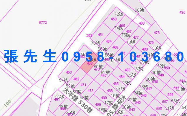 台東卑南法拍透天-3