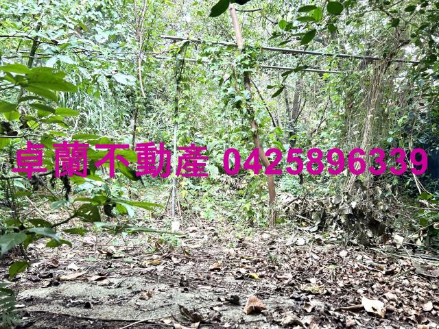 卓蘭透天-13