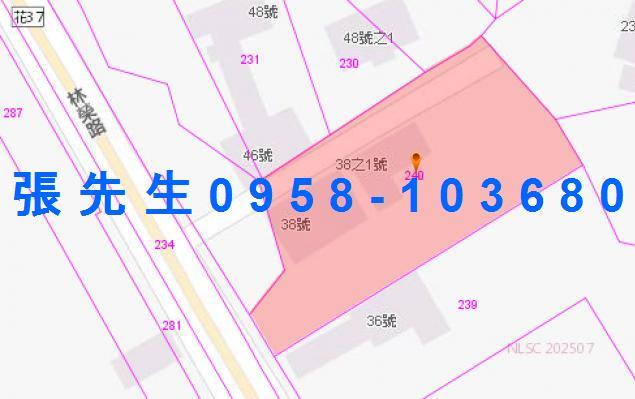 鳳林法拍透天-6
