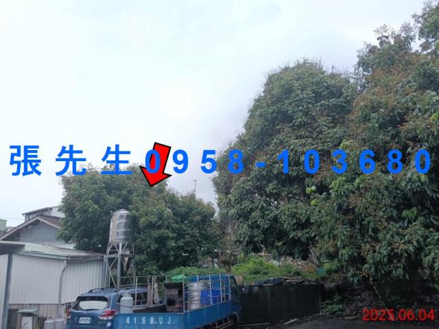 嘉義竹崎拍賣倉庫-5