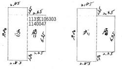 桃園大園法拍透天-3