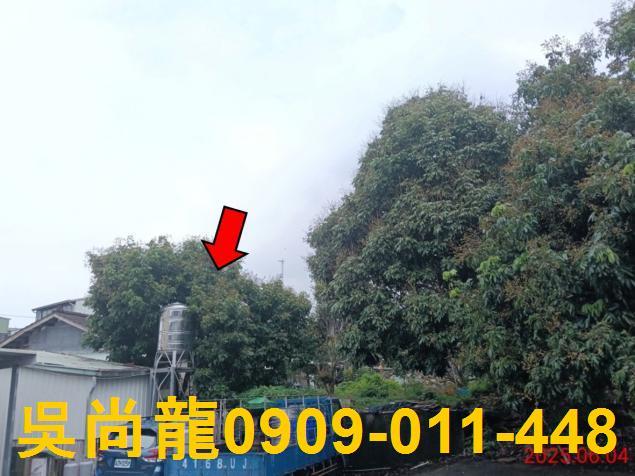 嘉義竹崎法拍一樓-2