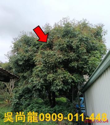 嘉義竹崎法拍一樓-3