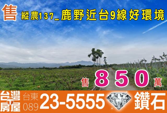 台東農地-1