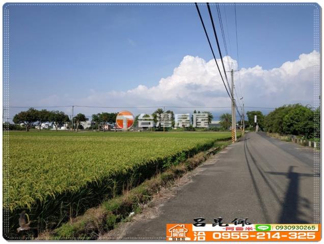 嘉義民雄農地-5