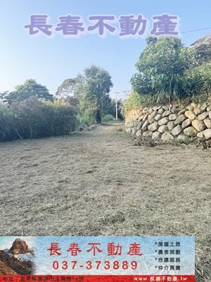 苗栗農地-11
