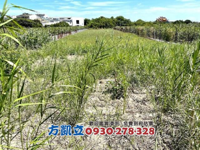 台南安南農地-3