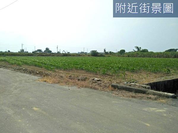台南農地-11