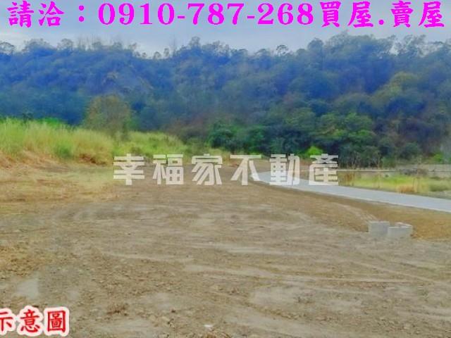 台南農地-8