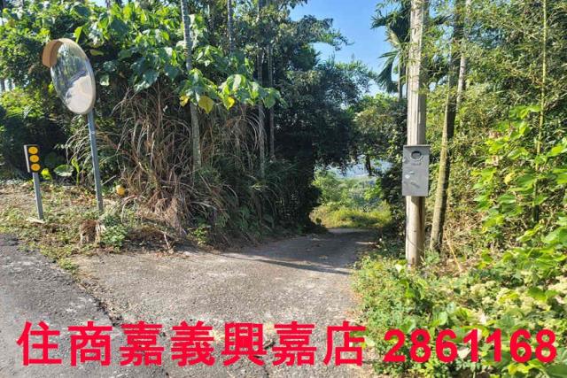 嘉義梅山農地-10