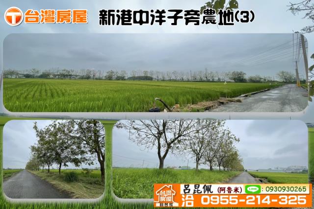 嘉義新港農地-1