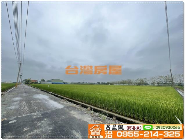 嘉義新港農地-2