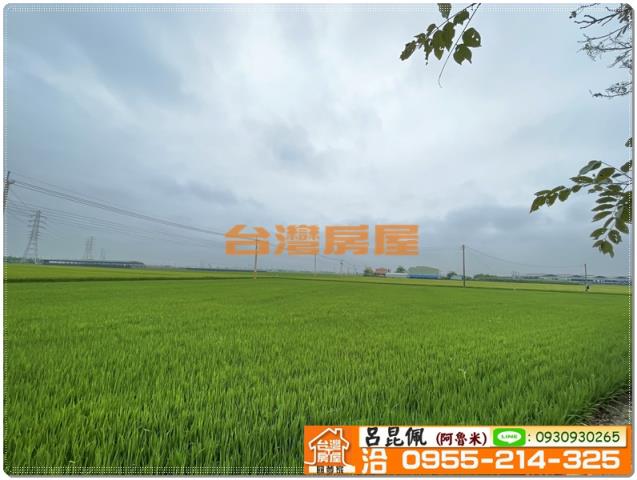 嘉義新港農地-3