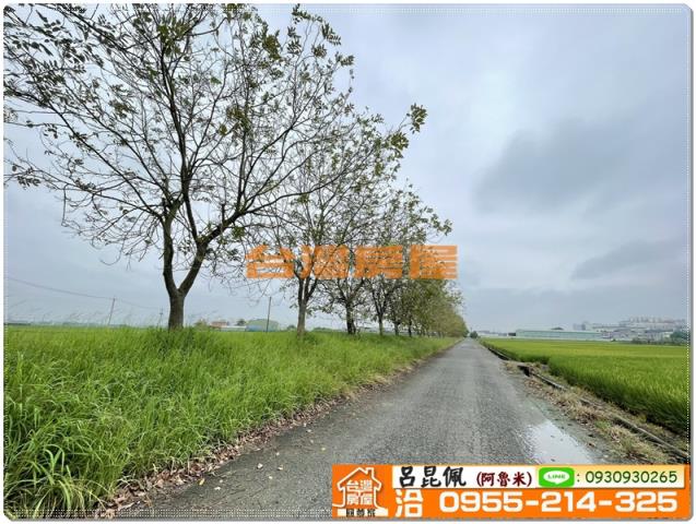 嘉義新港農地-4