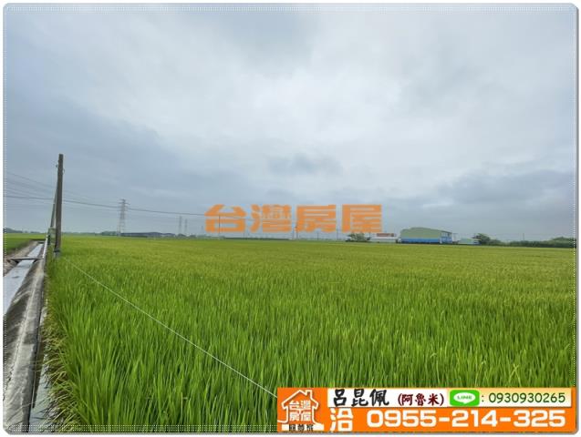嘉義新港農地-5