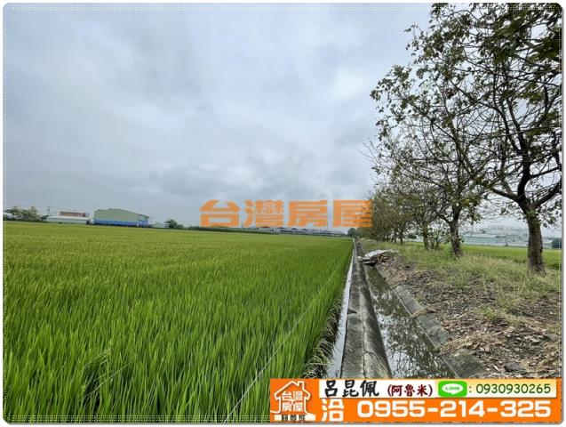 嘉義新港農地-6