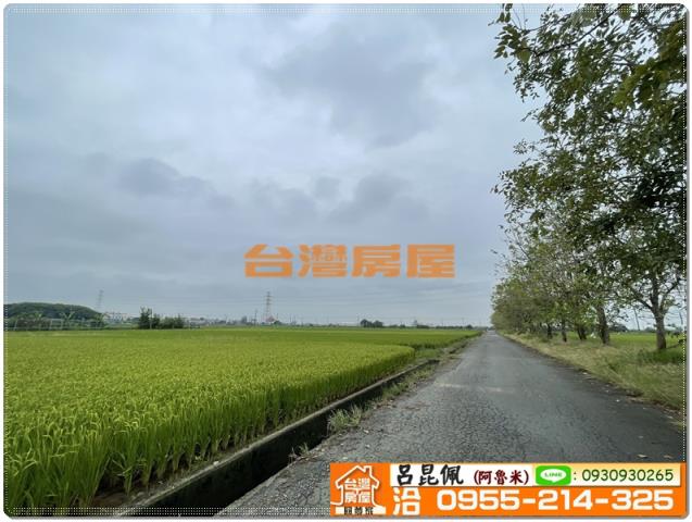 嘉義新港農地-7