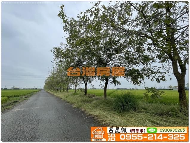 嘉義新港農地-8