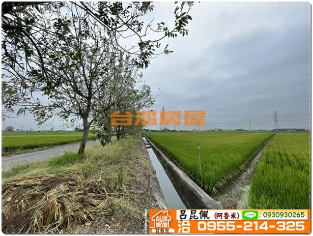 嘉義新港農地-9