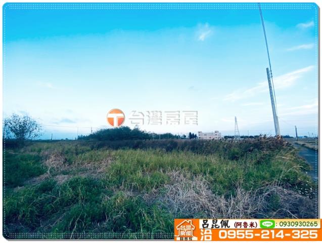 嘉義民雄農地-3