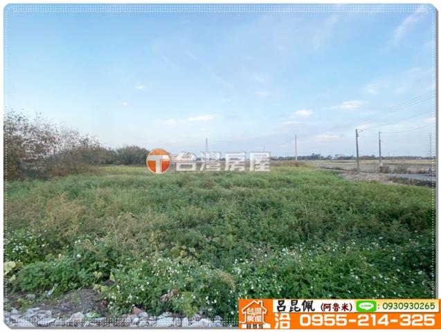 嘉義民雄農地-6