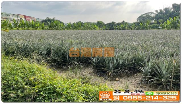 嘉義竹崎農地-2