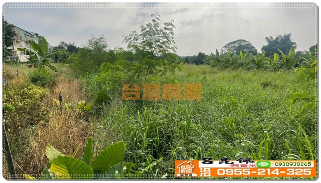 嘉義竹崎農地-3