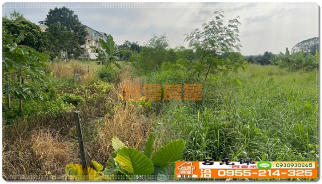 嘉義竹崎農地-4