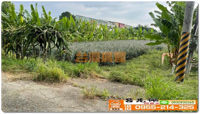 嘉義竹崎農地-6