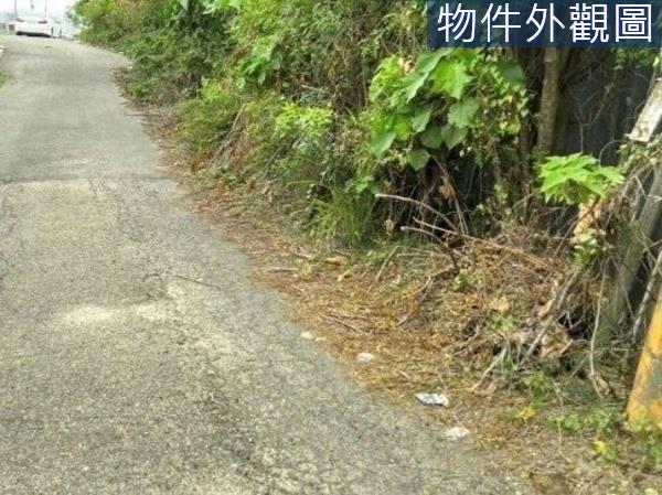 台南農地-3