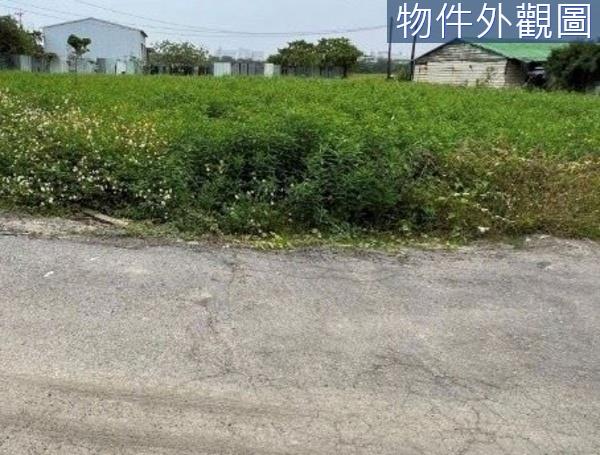 台南農地-5