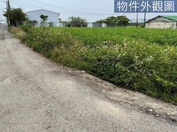 台南農地-6