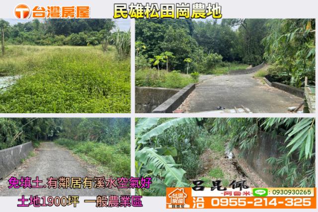 嘉義民雄農地-1