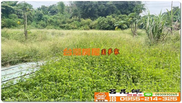 嘉義民雄農地-3