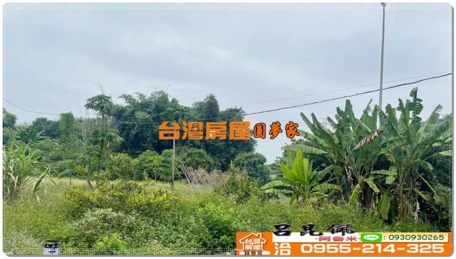 嘉義民雄農地-4