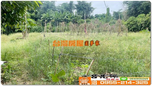 嘉義民雄農地-7