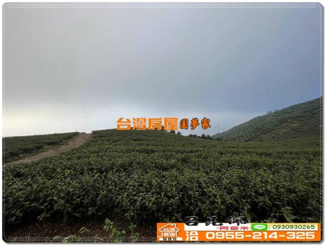 嘉義竹崎農地-11