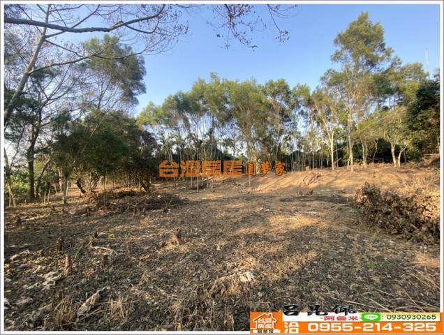 嘉義竹崎農地-10