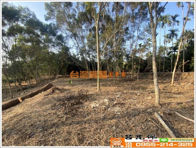 嘉義竹崎農地-11