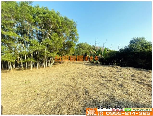 嘉義竹崎農地-3