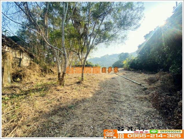 嘉義竹崎農地-4