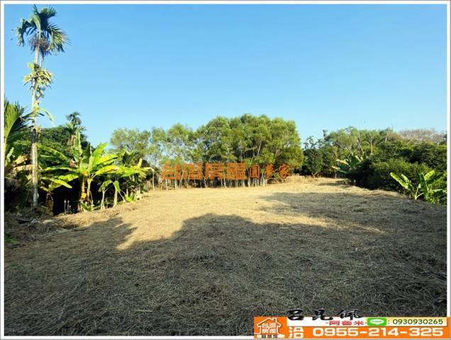 嘉義竹崎農地-5