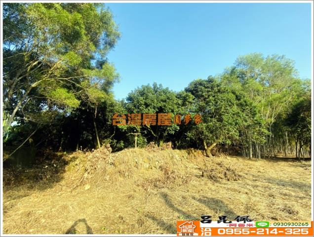 嘉義竹崎農地-7