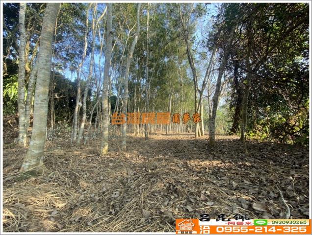 嘉義竹崎農地-8