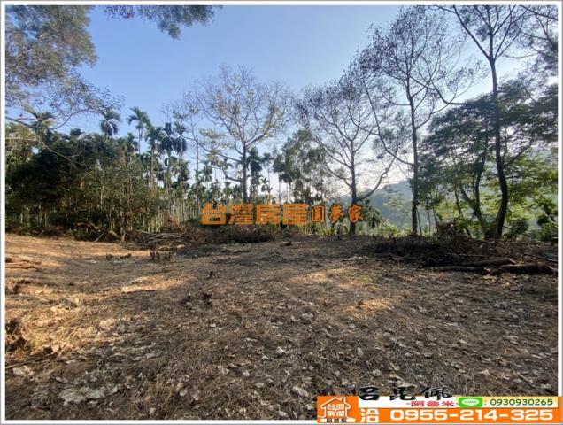 嘉義竹崎農地-9